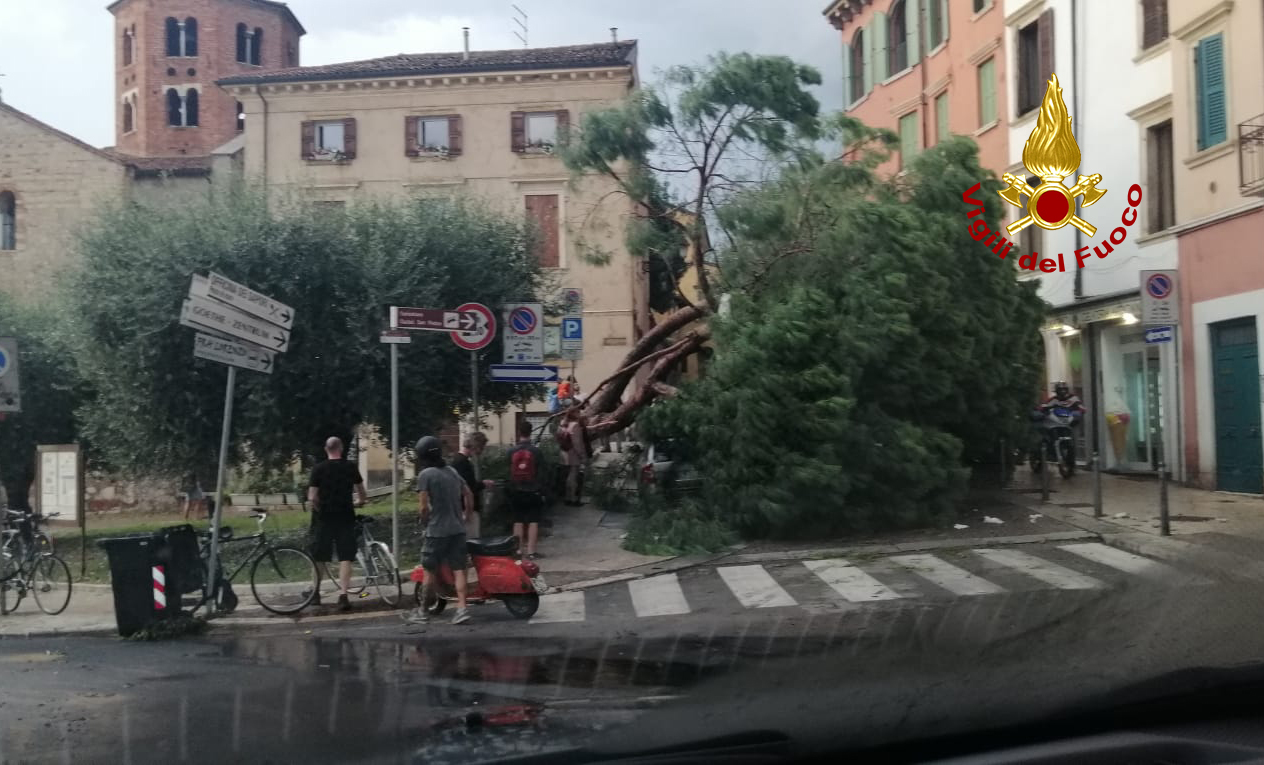 MALTEMPO IN VENETO. GRAVI DANNI SUI TERRITORI DI TRE PROVINCE. 